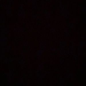 Meet your Posher, Jena